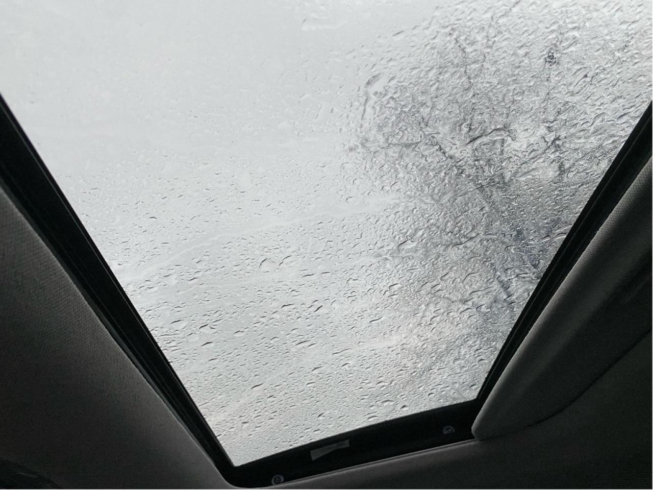 2021 Hyundai Elantra Hybrid Ultimate Photo