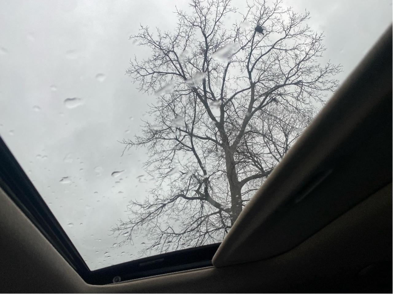 2020 Hyundai Elantra Luxury, Leather, Roof & More, Drives Great !! Photo