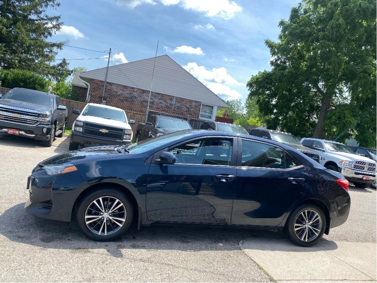 2019 Toyota Corolla  Photo