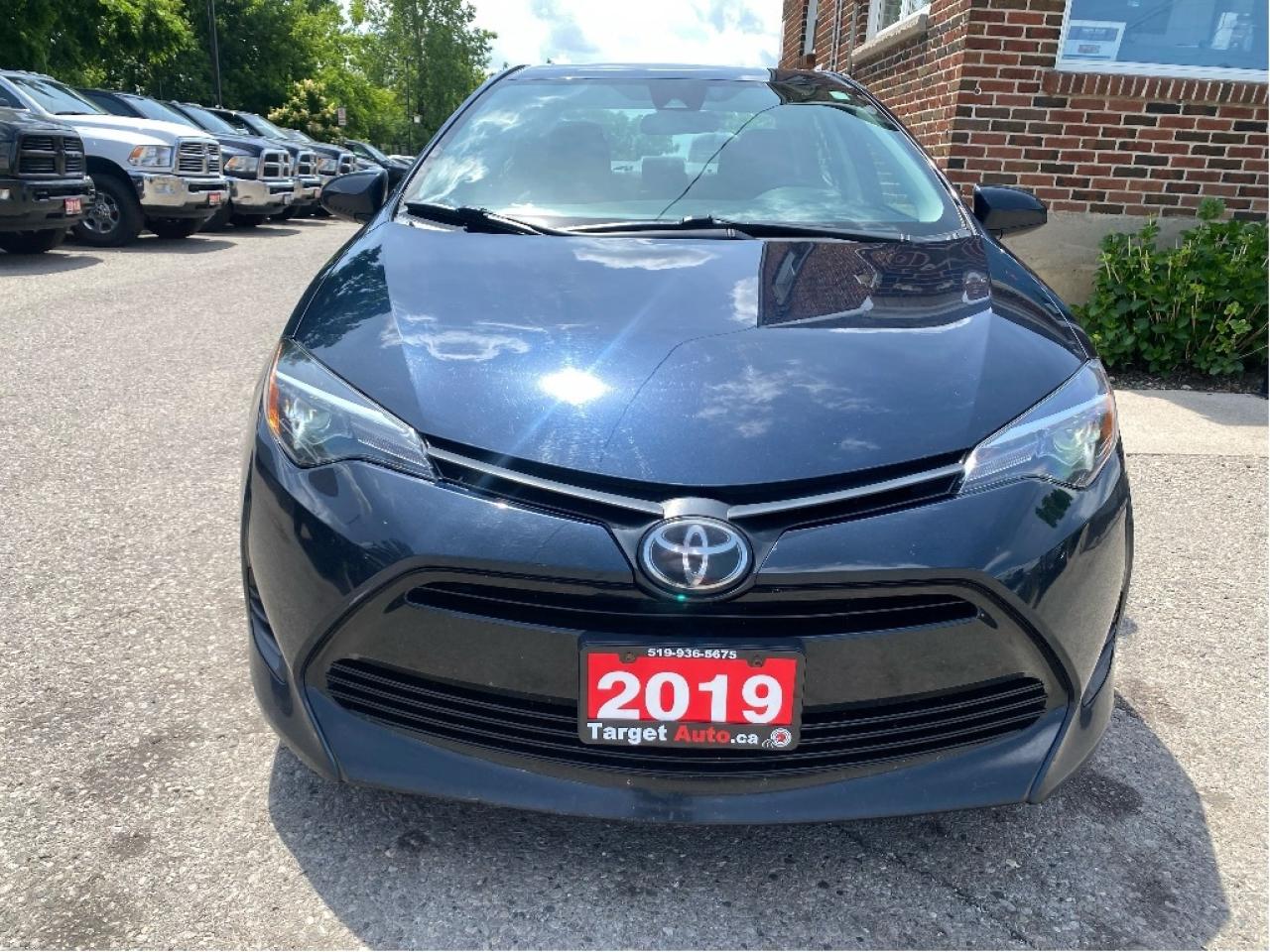 2019 Toyota Corolla  Photo
