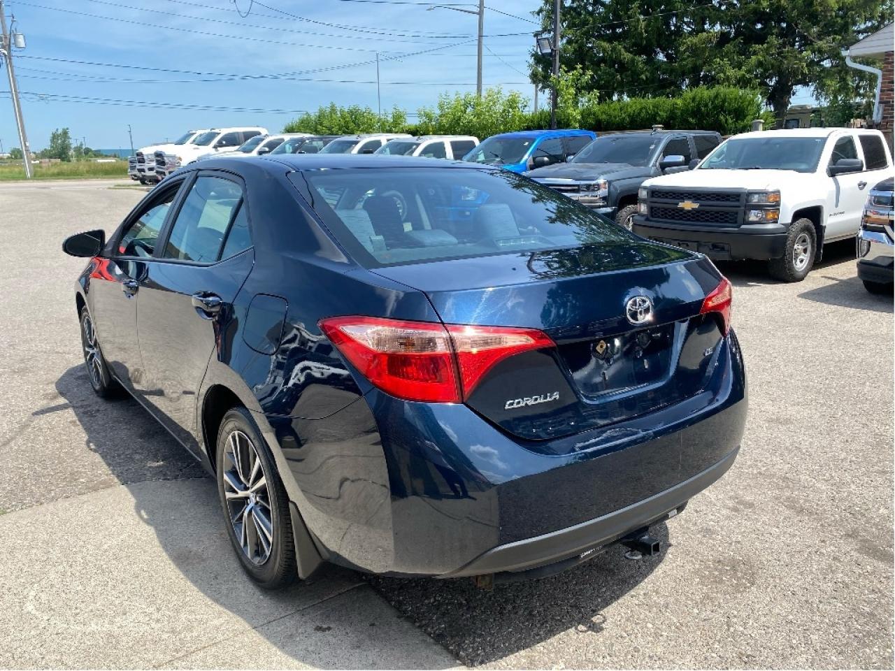 2019 Toyota Corolla  Photo