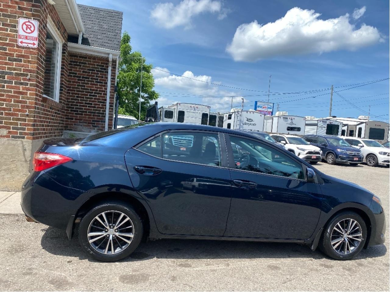 2019 Toyota Corolla  Photo