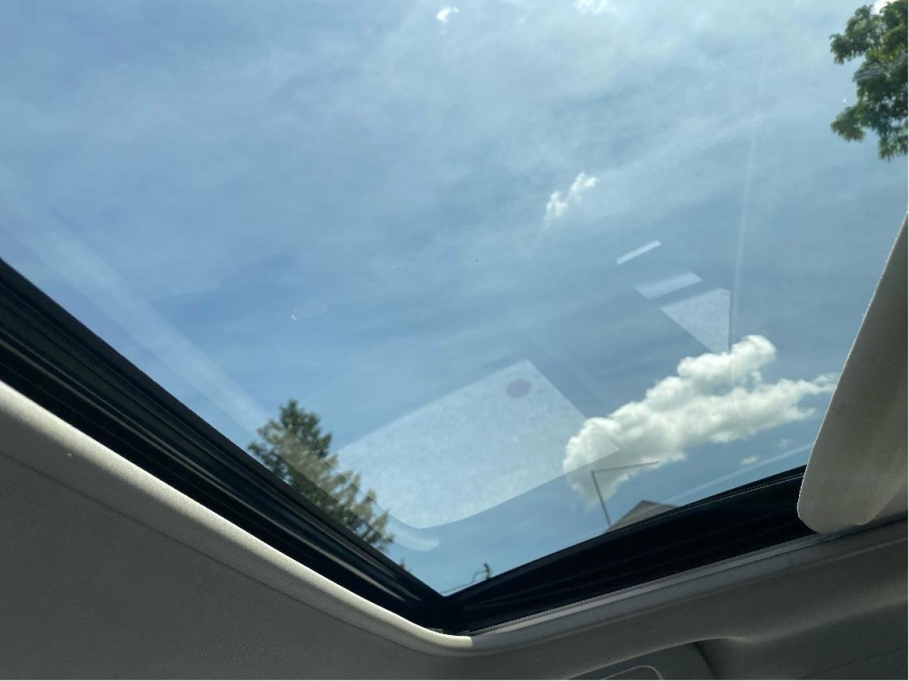 2019 Toyota Corolla  Photo