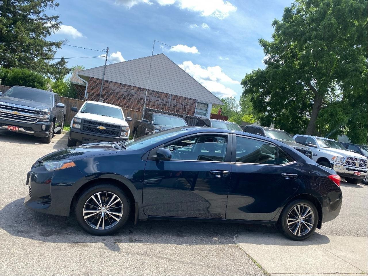 2019 Toyota Corolla  Photo3
