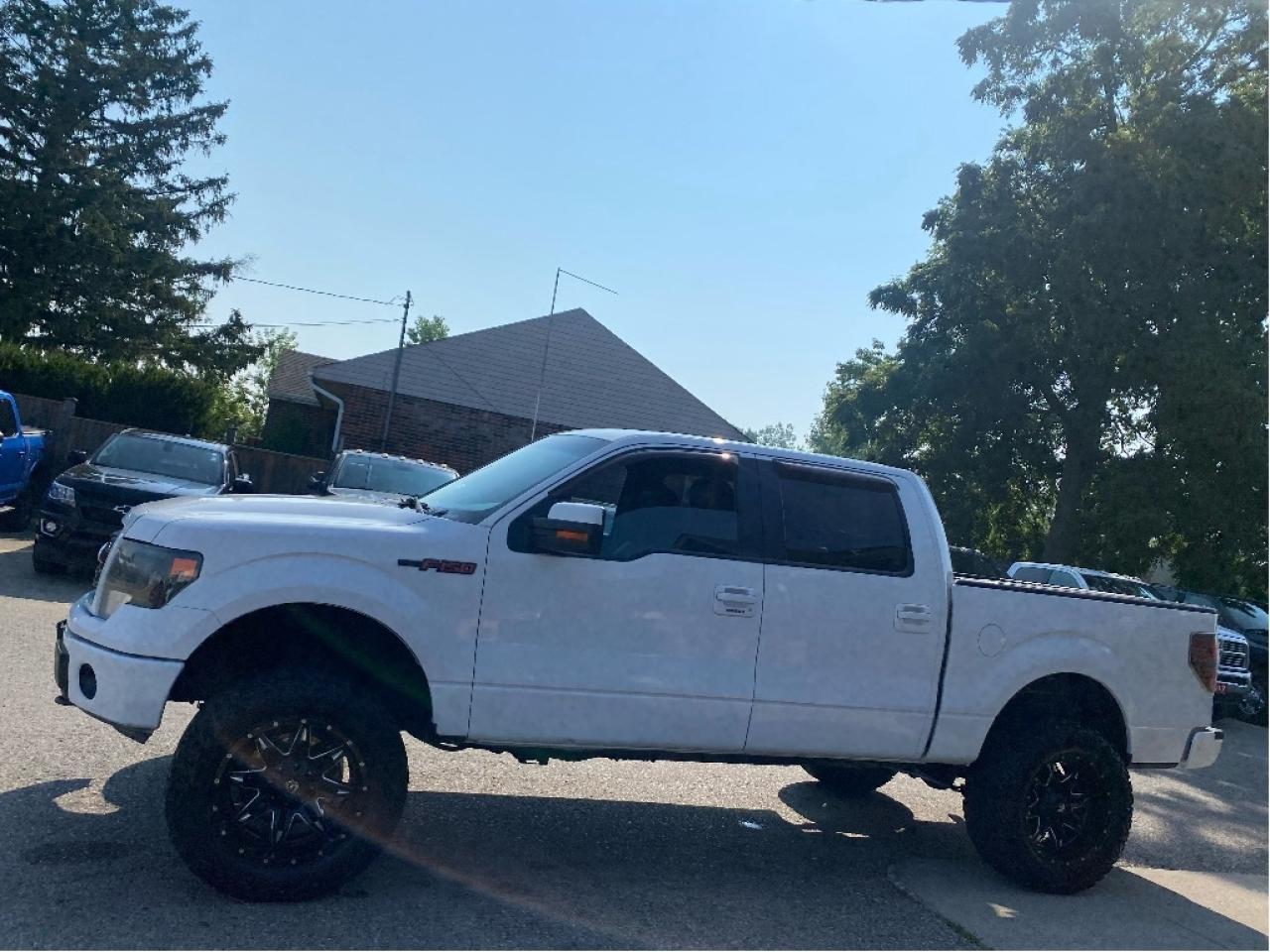 2013 Ford F-150 FX4 Photo3