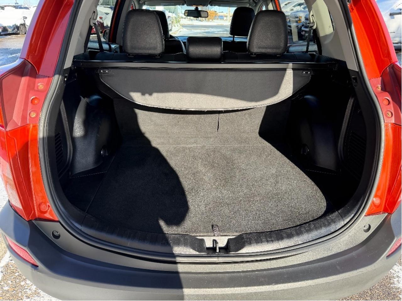 2015 Toyota RAV4 LIMITED  Photo