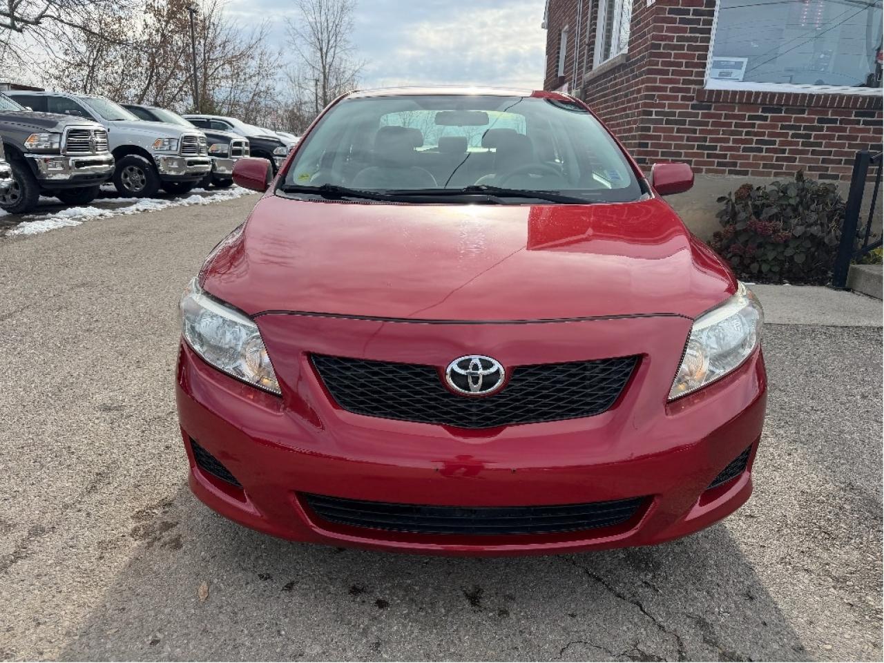 2009 Toyota Corolla  Photo