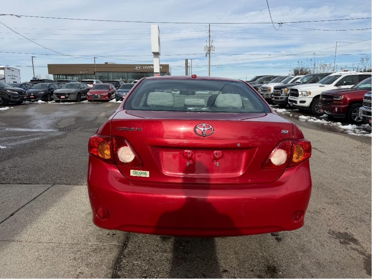 2009 Toyota Corolla  Photo