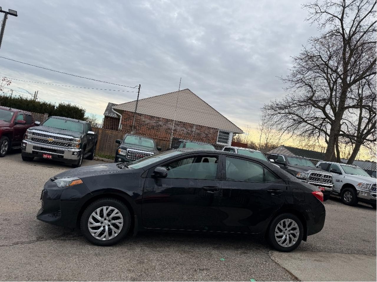 2019 Toyota Corolla LE Photo