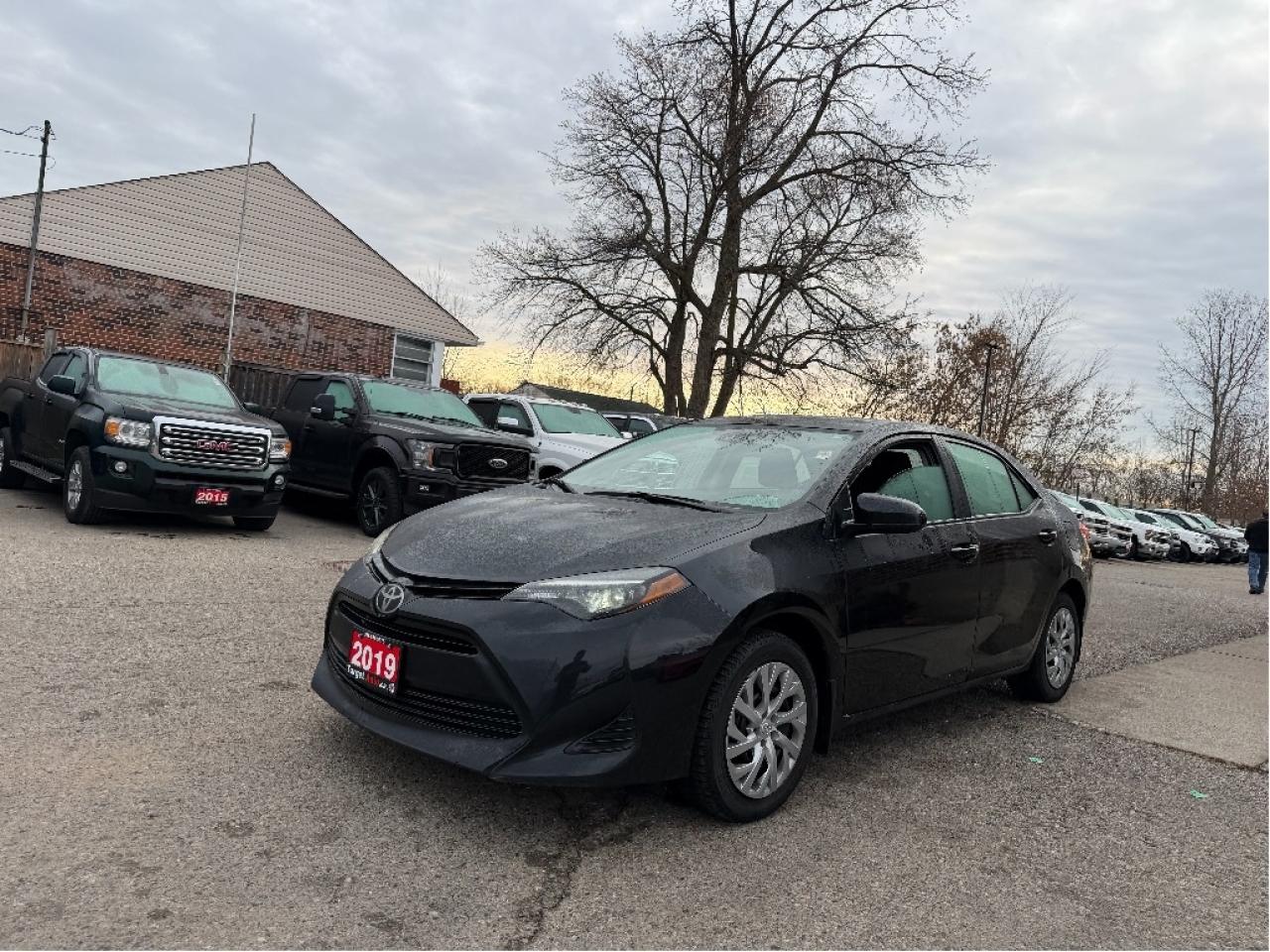2019 Toyota Corolla LE Photo