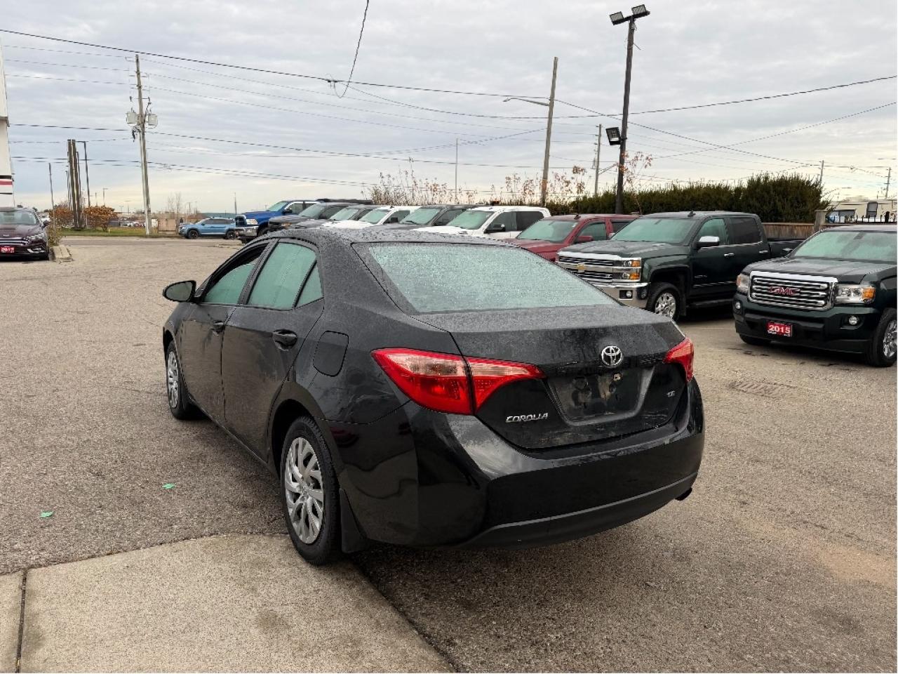 2019 Toyota Corolla LE Photo