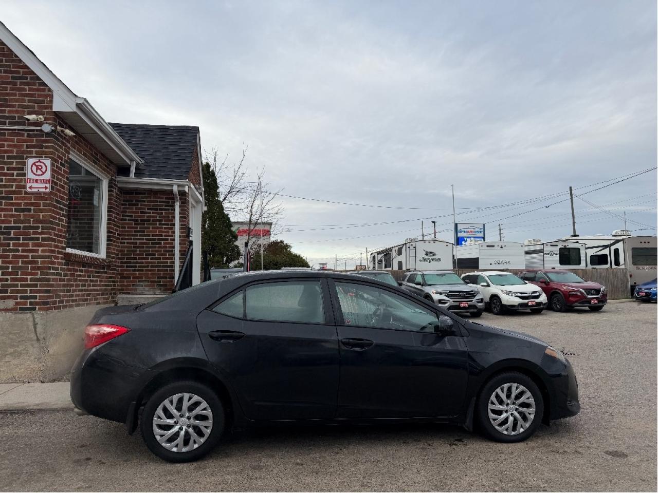 2019 Toyota Corolla LE Photo