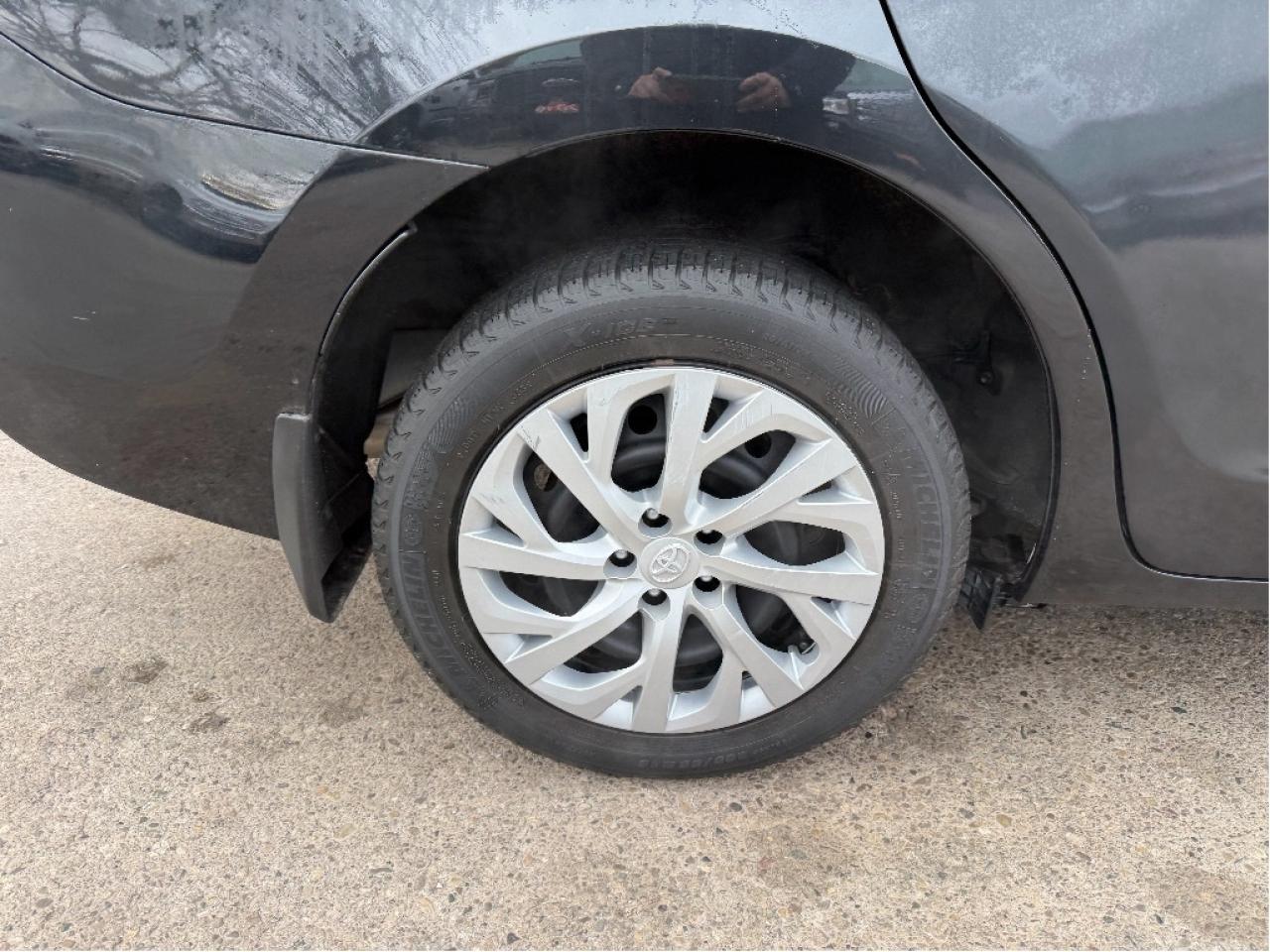 2019 Toyota Corolla LE Photo