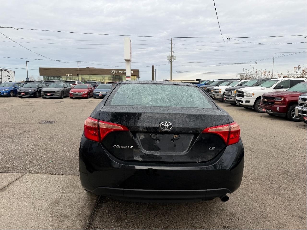 2019 Toyota Corolla LE Photo