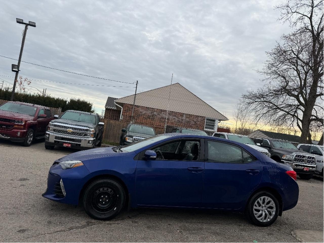 2017 Toyota Corolla LE Photo