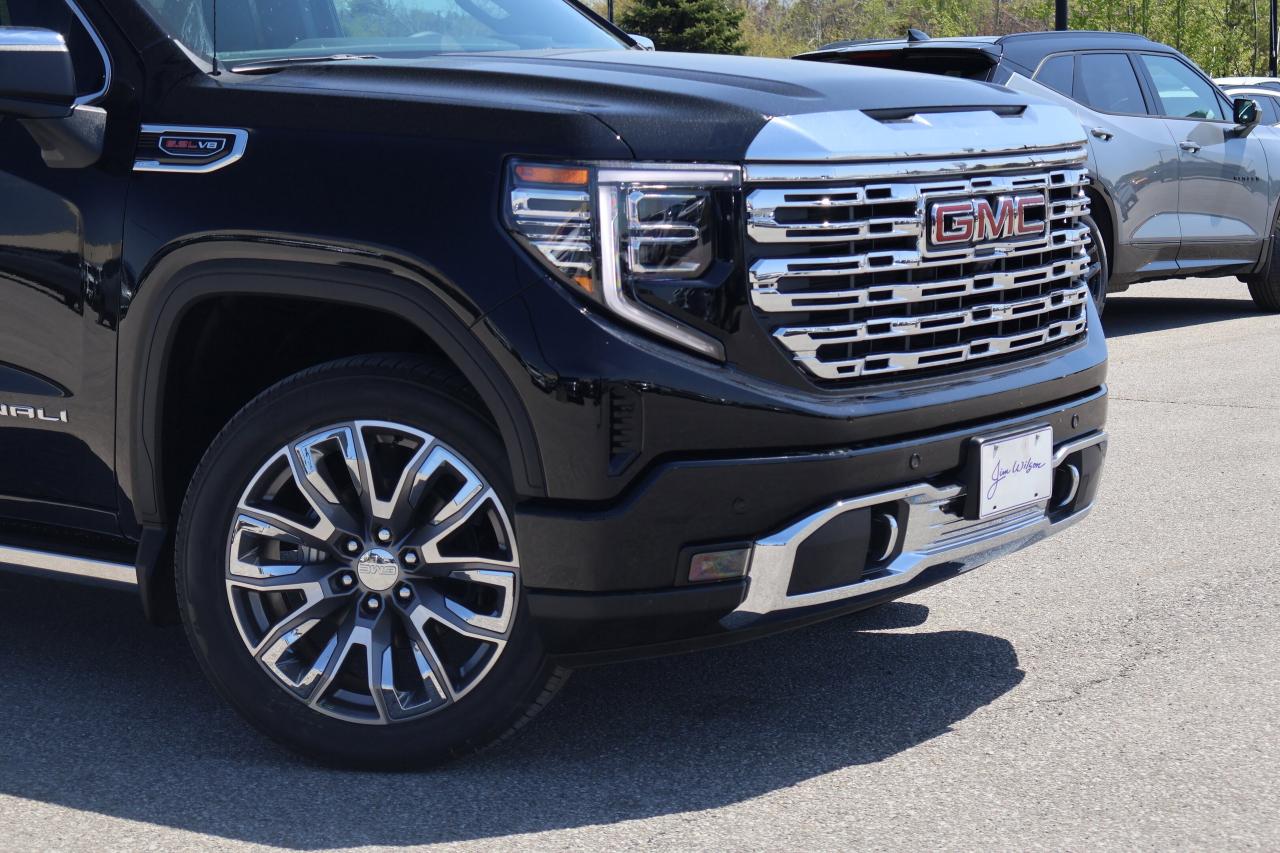 2025 GMC Sierra 1500 Denali Photo2