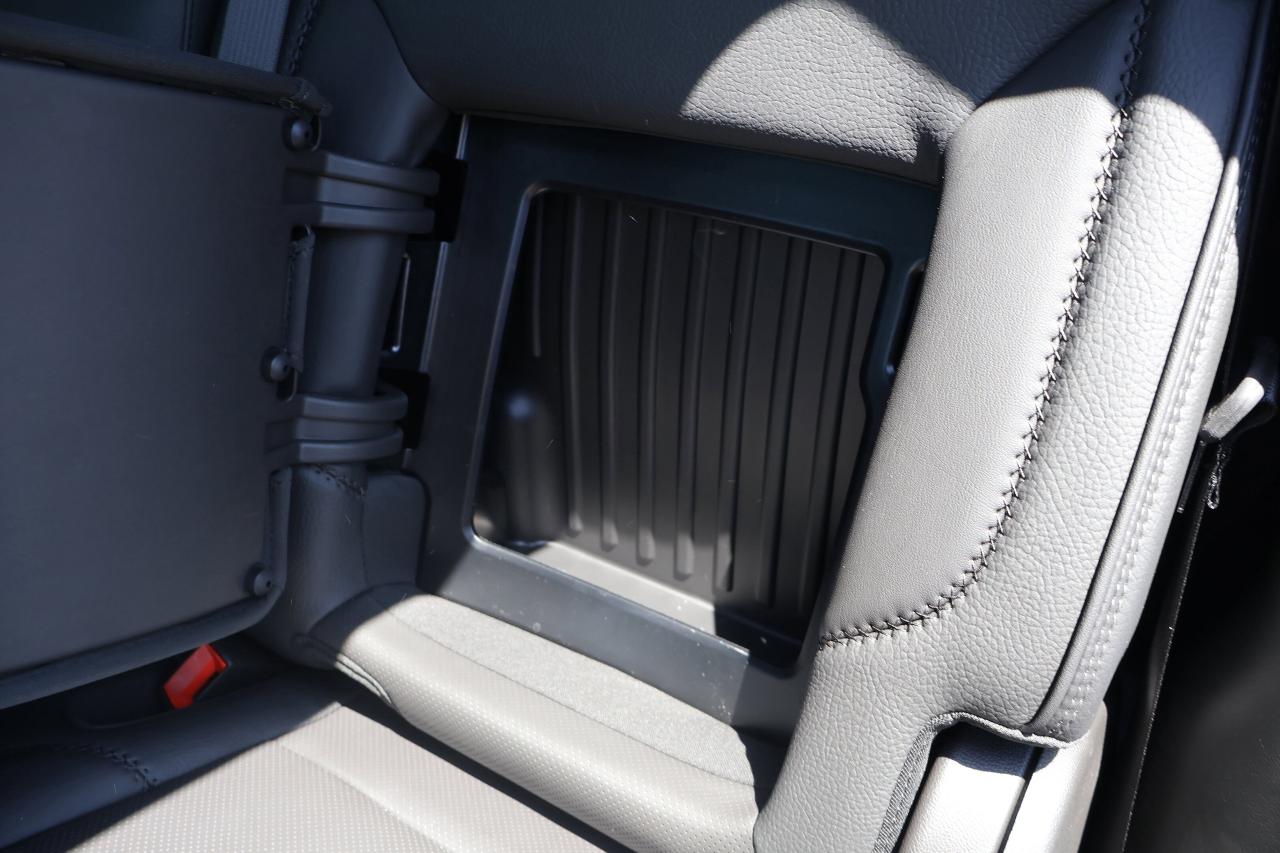 2025 GMC Sierra 1500 Denali Photo