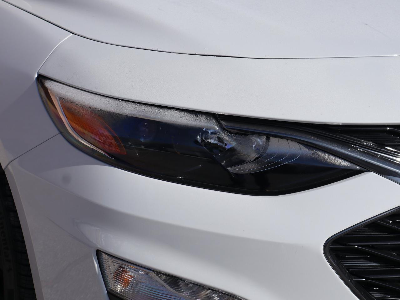 2024 Chevrolet Malibu LT Photo