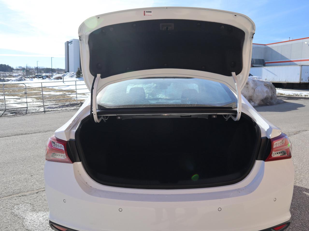 2024 Chevrolet Malibu LT Photo