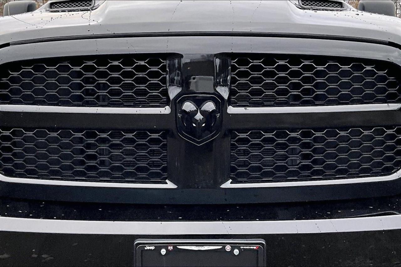 2023 RAM 1500 Classic Night Edition Quad | Steps Liner Cover | 4X4 Photo