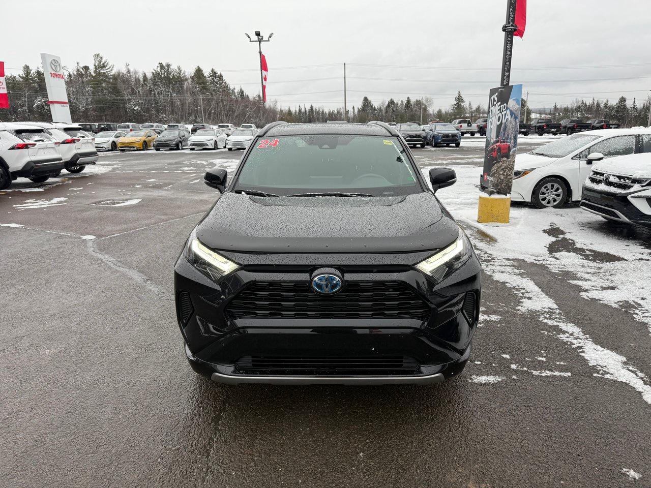 2024 Toyota RAV4 Hybrid SE Photo1