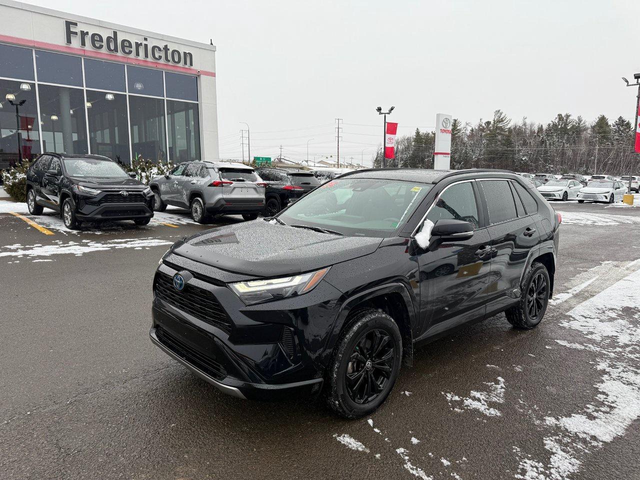2024 Toyota RAV4 Hybrid SE Photo0