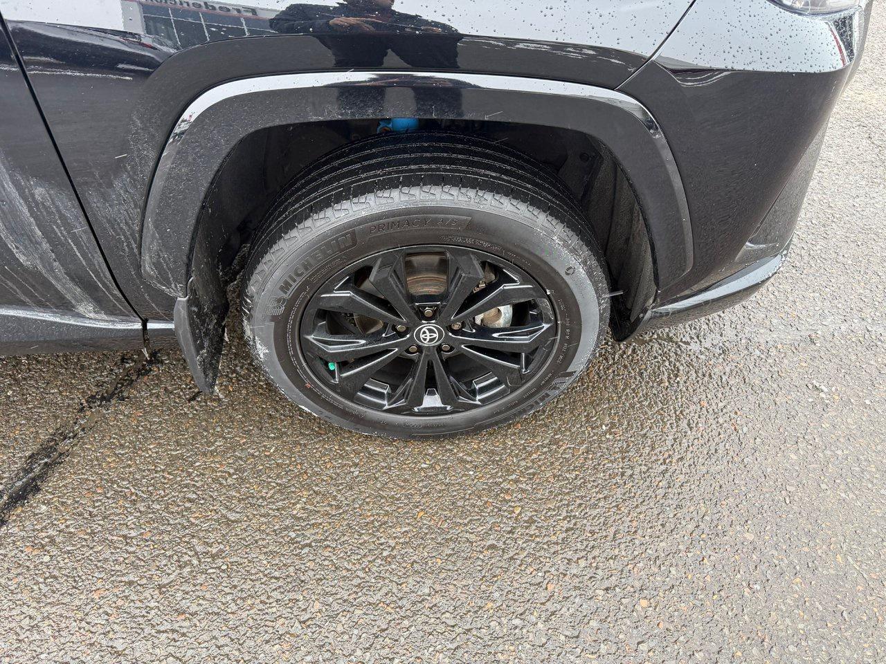 2024 Toyota RAV4 Hybrid SE Photo