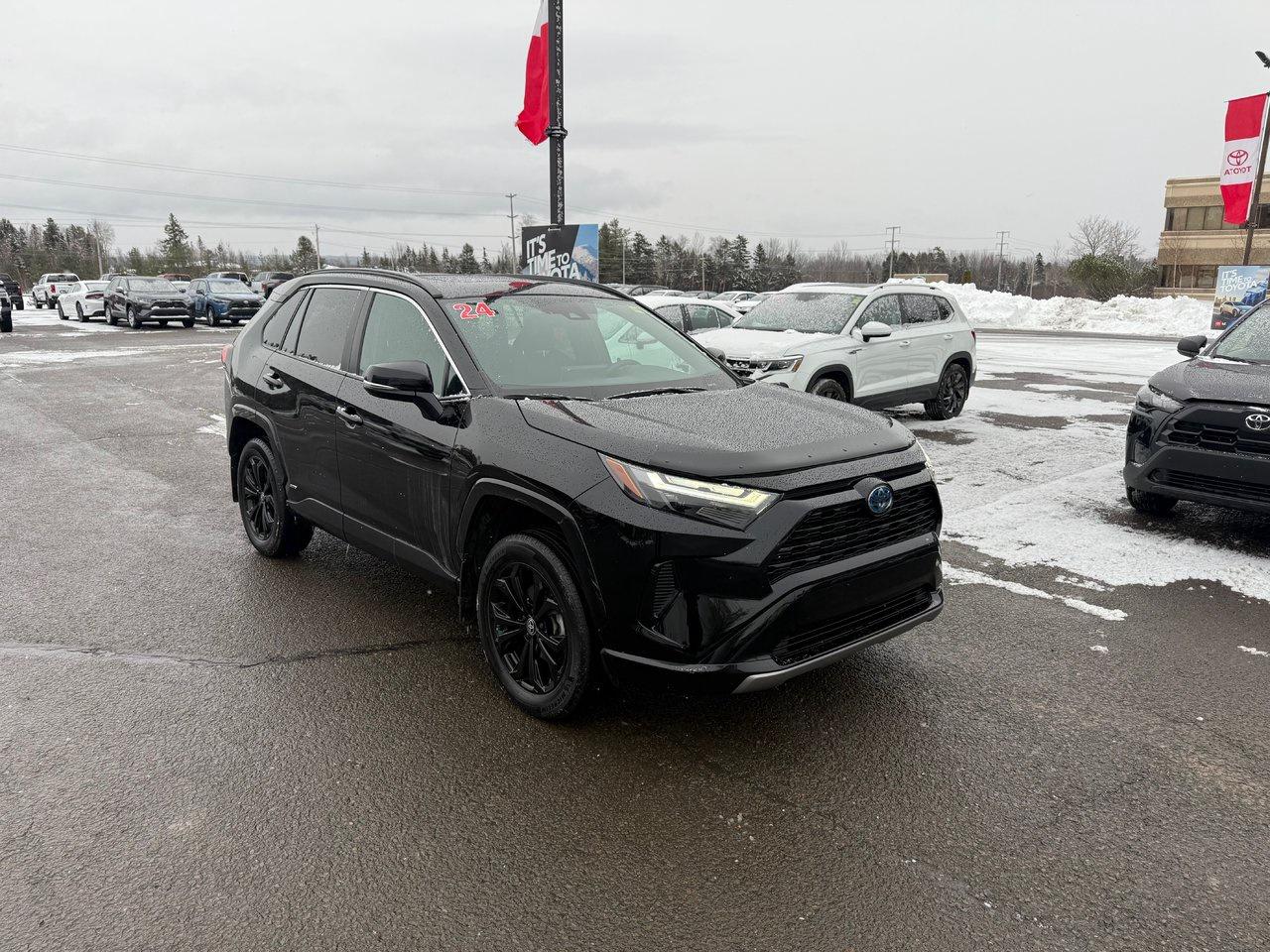 2024 Toyota RAV4 Hybrid SE Photo