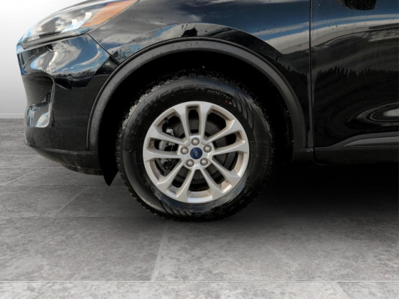 2020 Ford Escape SE Photo