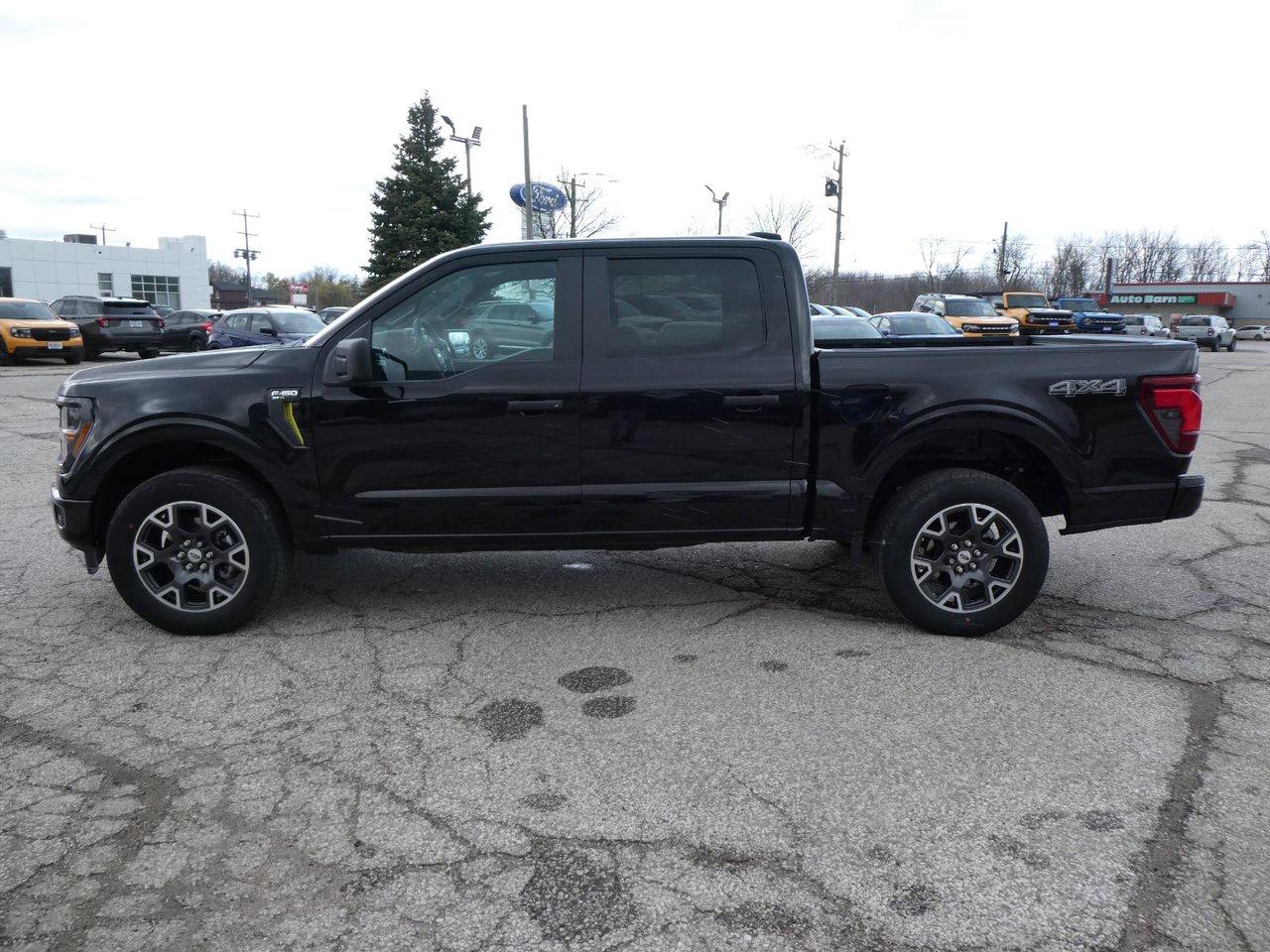 2024 Ford F-150 STX STX Photo