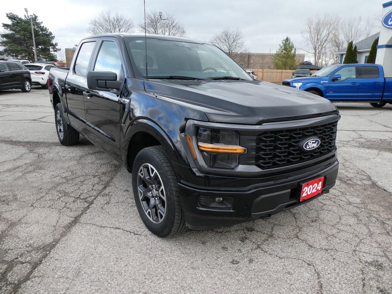 2024 Ford F-150 STX STX Photo