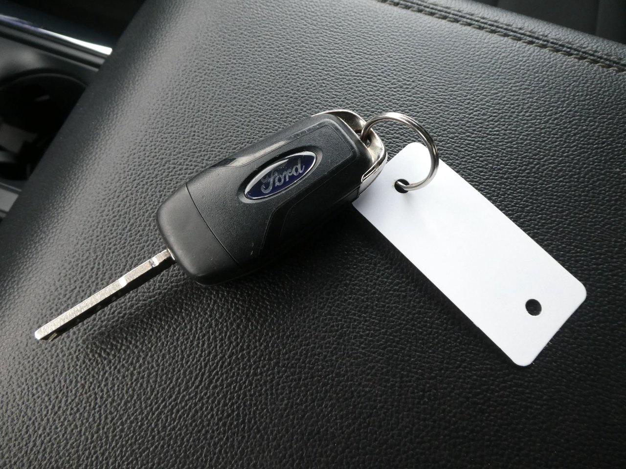 2024 Ford F-150 STX STX Photo