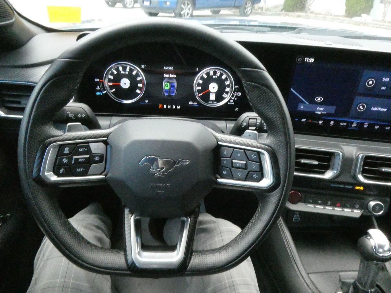 2025 Ford Mustang GT Premium Photo