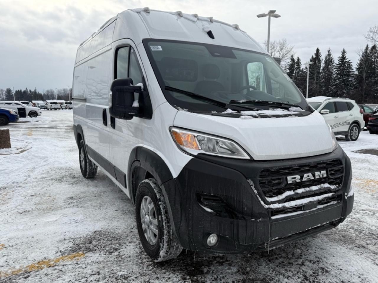 2025 RAM Cargo Van ProMaster 2500 High Roof 136 Photo