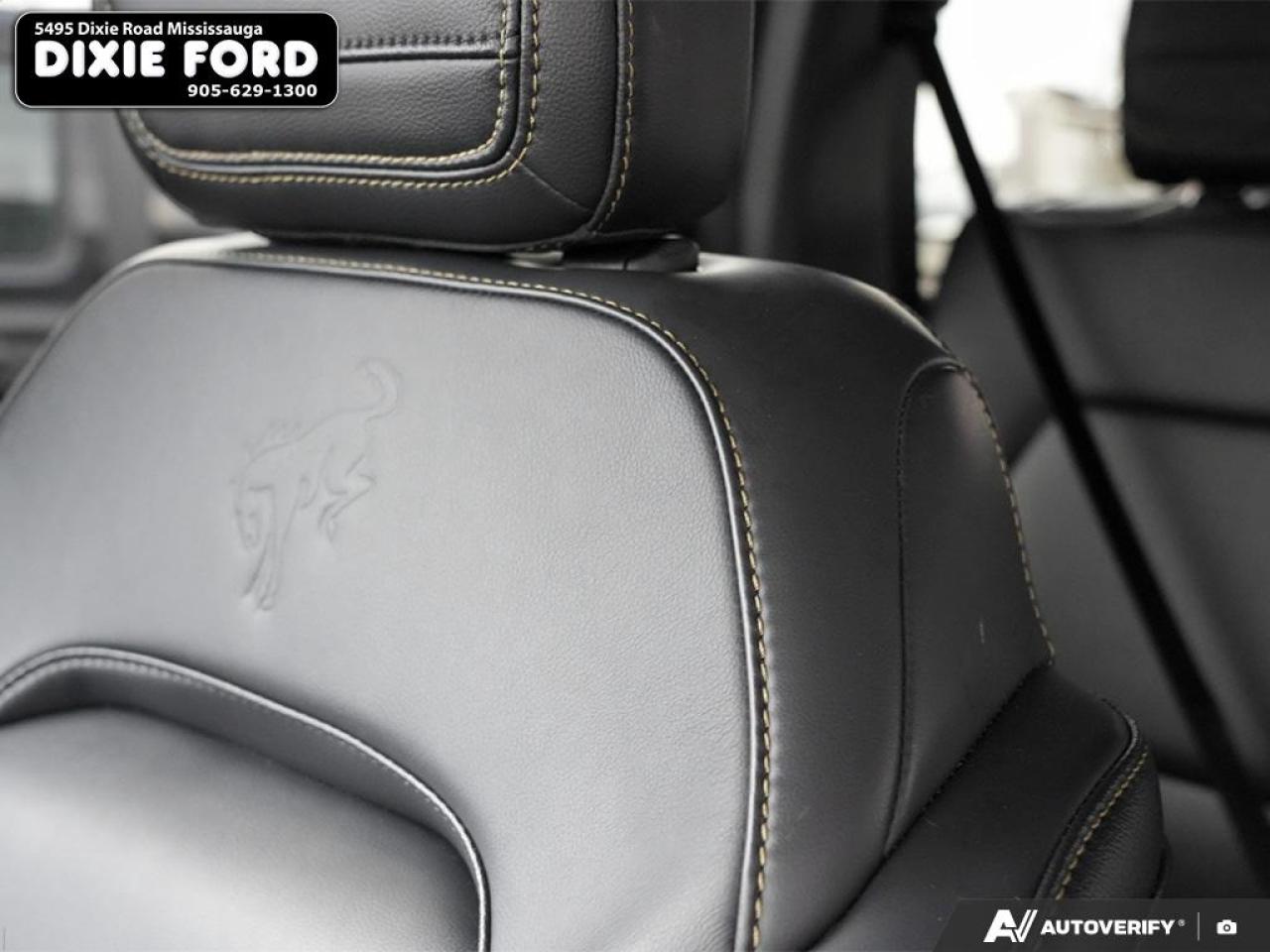 2025 Ford Bronco Badlands Photo