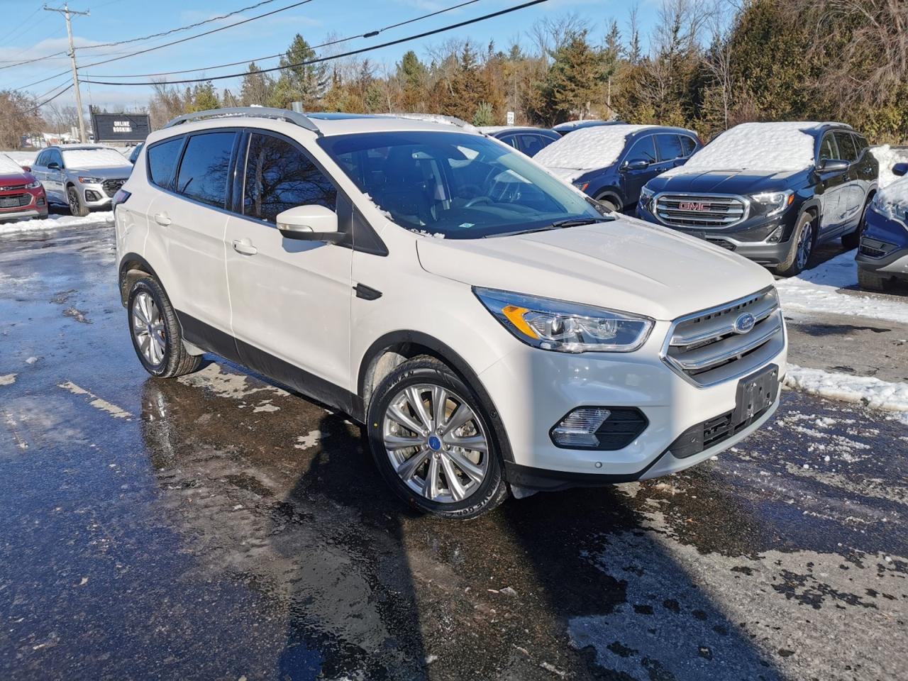2018 Ford Escape Titanium Photo2