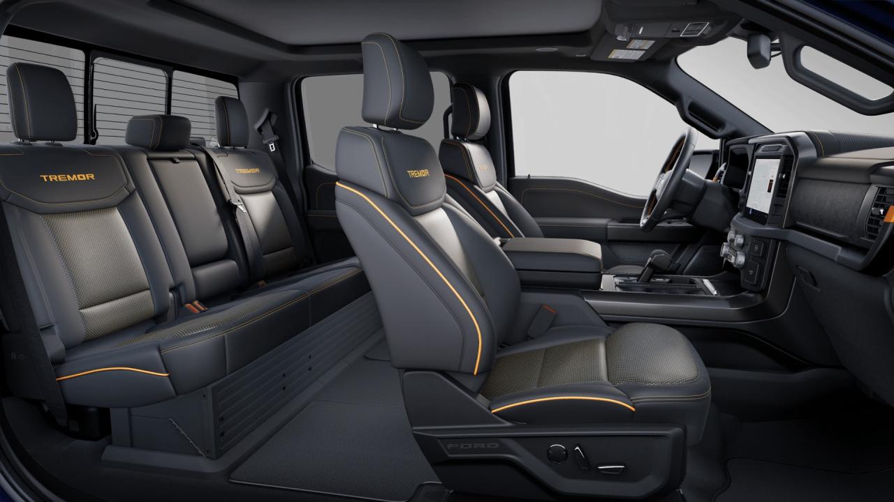 2025 Ford F-150 Tremor Photo3