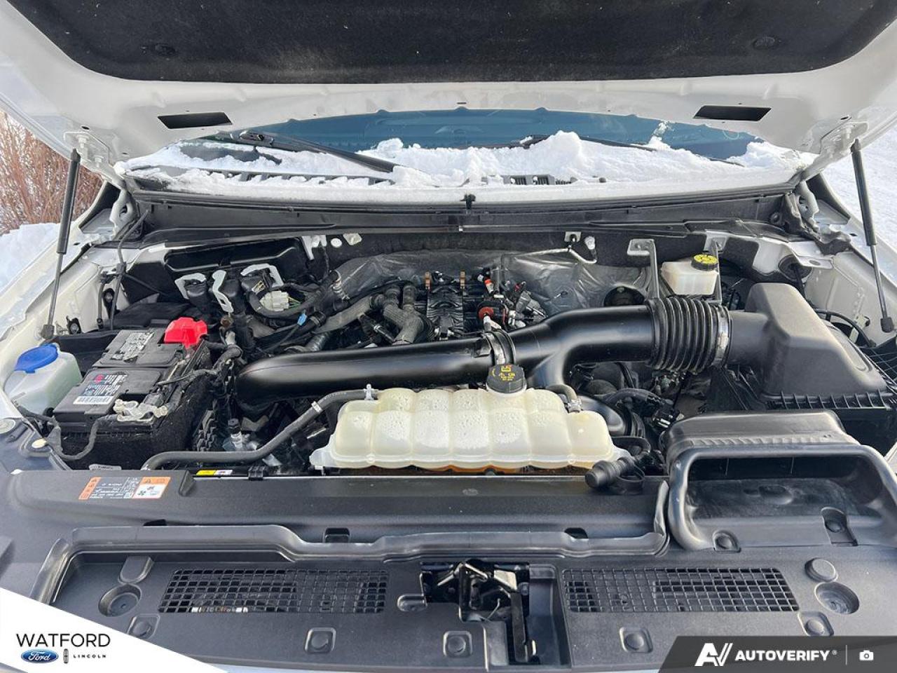 2023 Ford Expedition Platinum 4x4 Photo