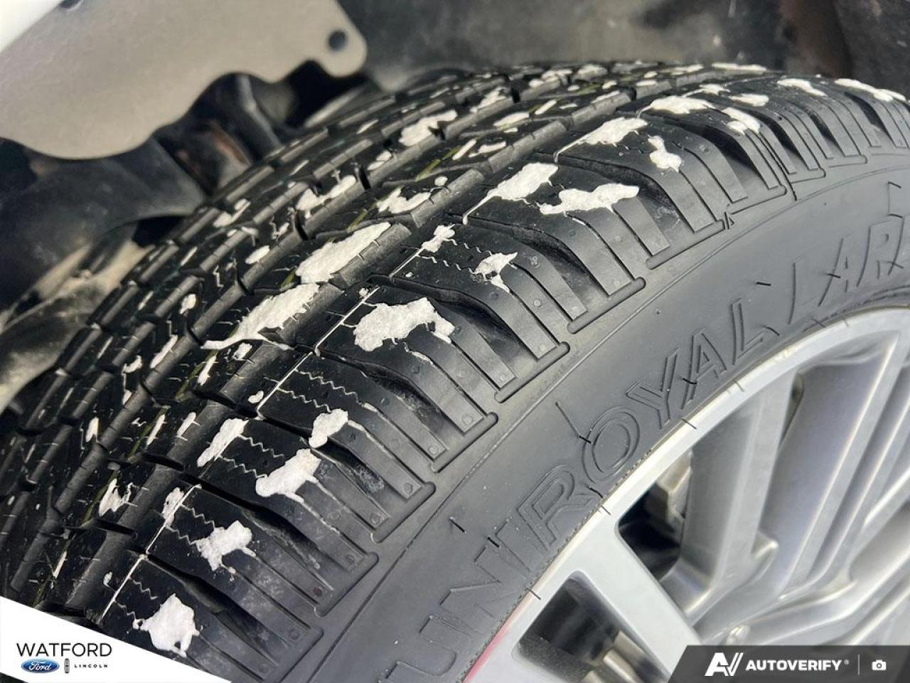 2023 Ford Expedition Platinum 4x4 Photo