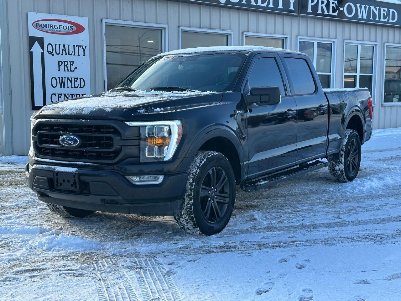 2021 Ford F-150 XLT 4WD SuperCrew 6.5' Box Photo