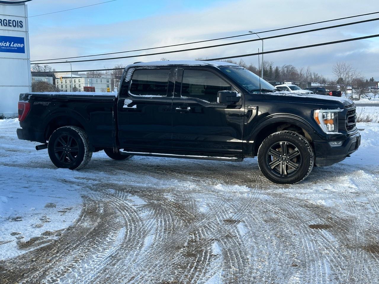 2021 Ford F-150 XLT 4WD SuperCrew 6.5' Box Photo