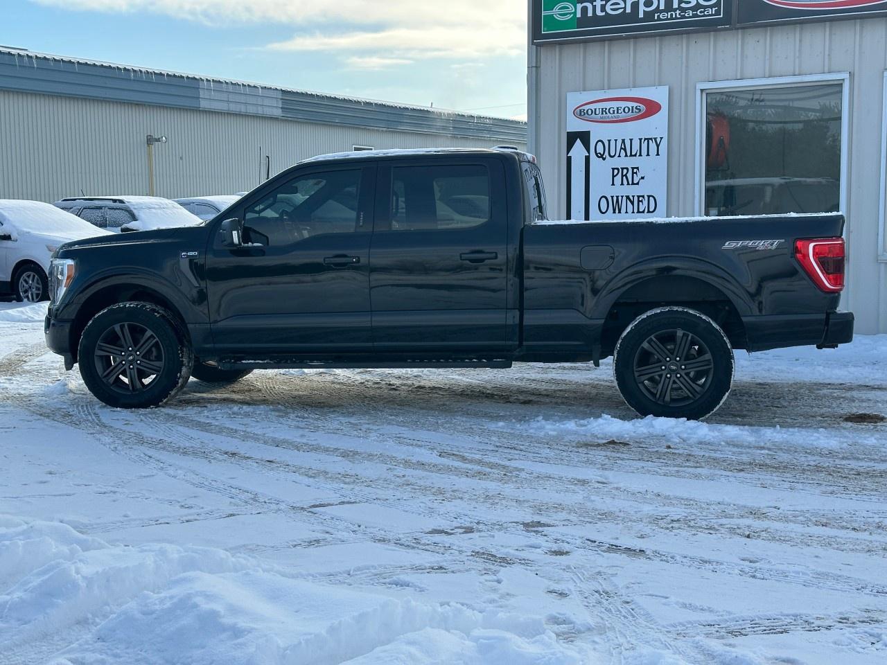 2021 Ford F-150 XLT 4WD SuperCrew 6.5' Box Photo