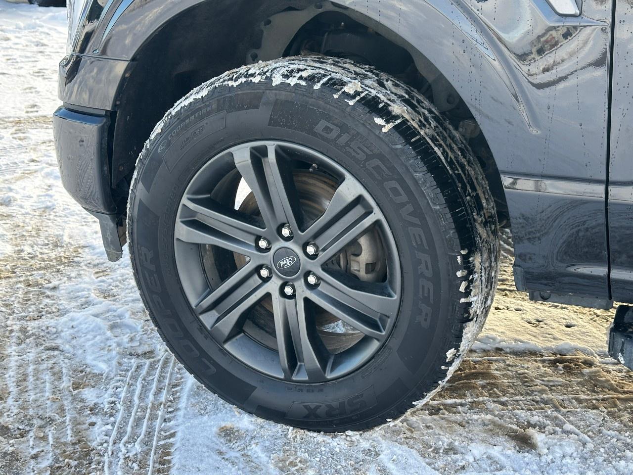 2021 Ford F-150 XLT 4WD SuperCrew 6.5' Box Photo