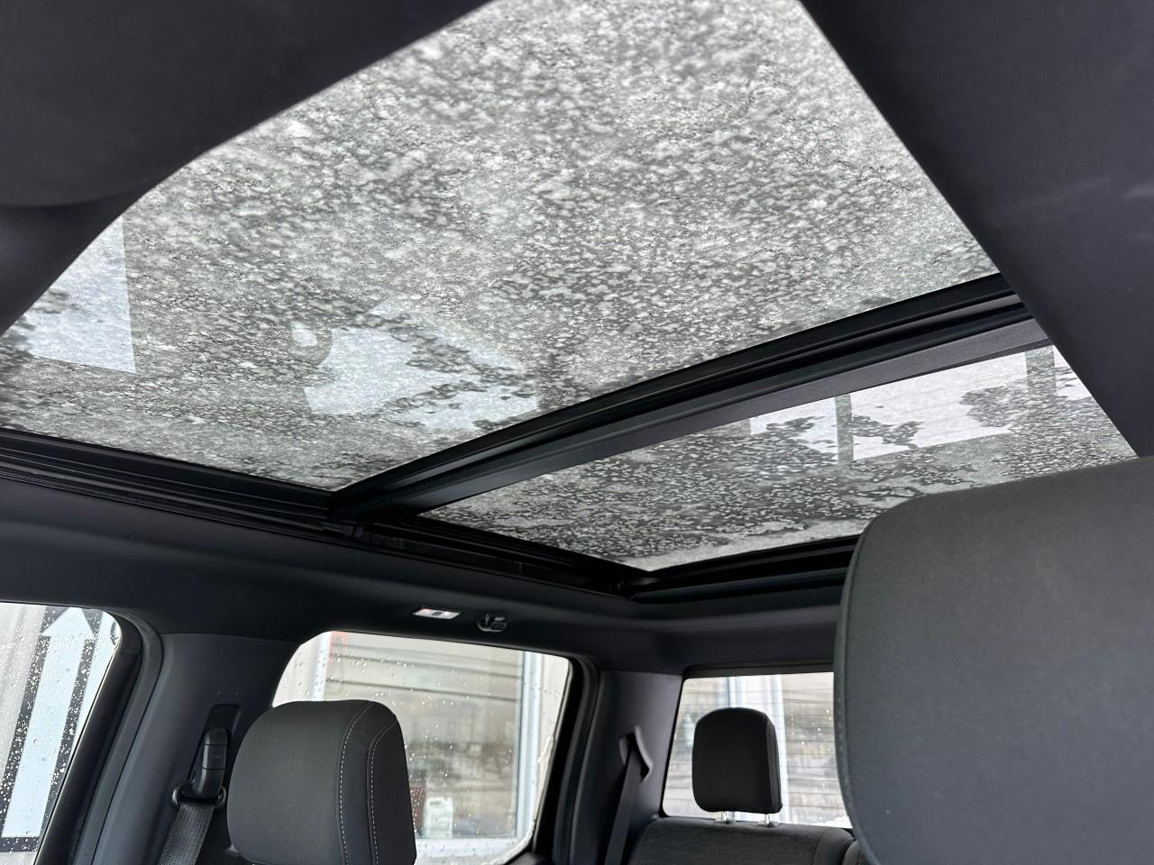 2021 Ford F-150 XLT 4WD SuperCrew 6.5' Box Photo