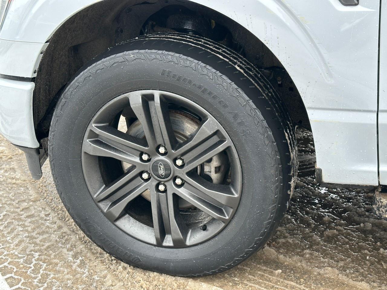 2021 Ford F-150 Lariat 4WD SuperCrew 6.5' Box Photo