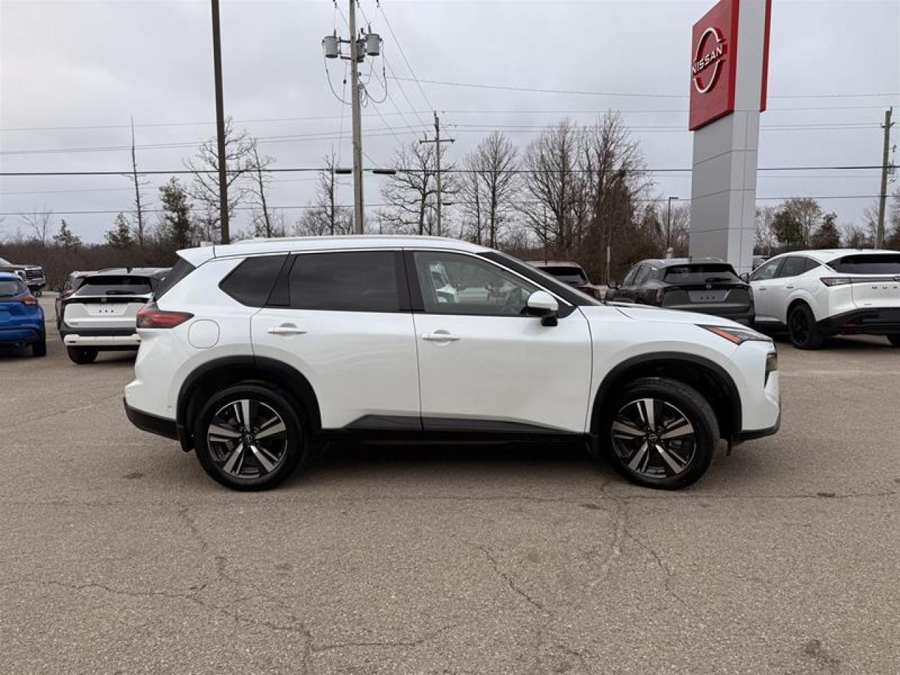 2024 Nissan Rogue AWD SL Photo3