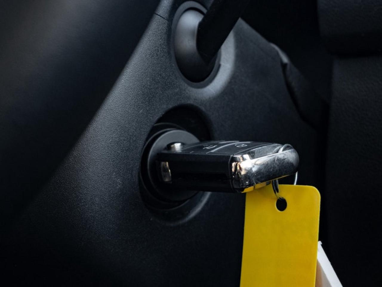 2024 Volkswagen Tiguan Trendline Photo