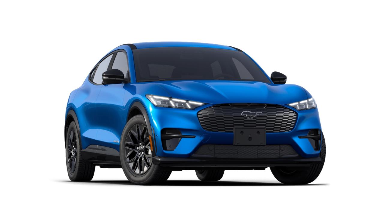 2025 Ford Mustang Mach-E Premium 300A Photo3