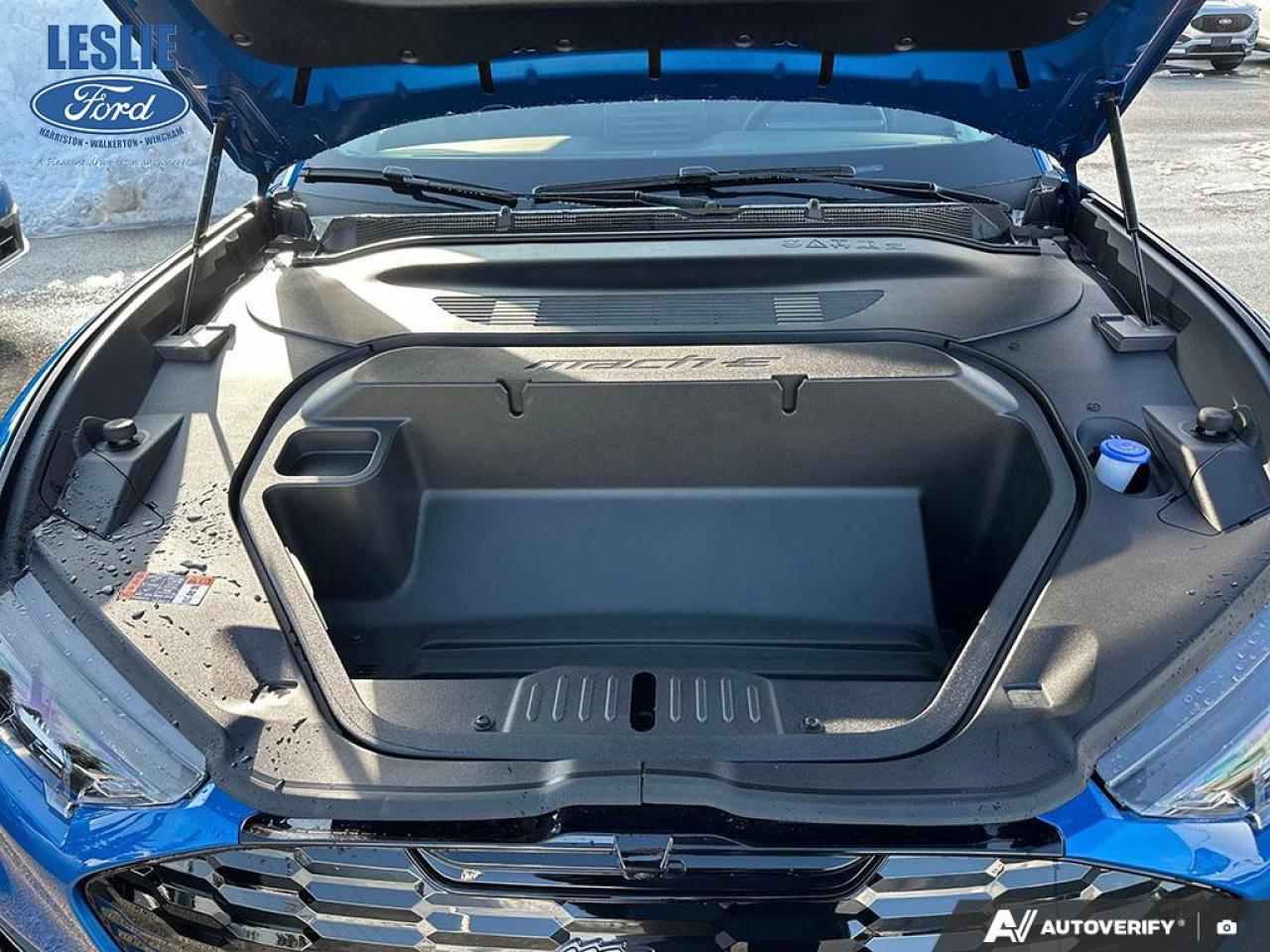 2025 Ford Mustang Mach-E Premium AWD Photo