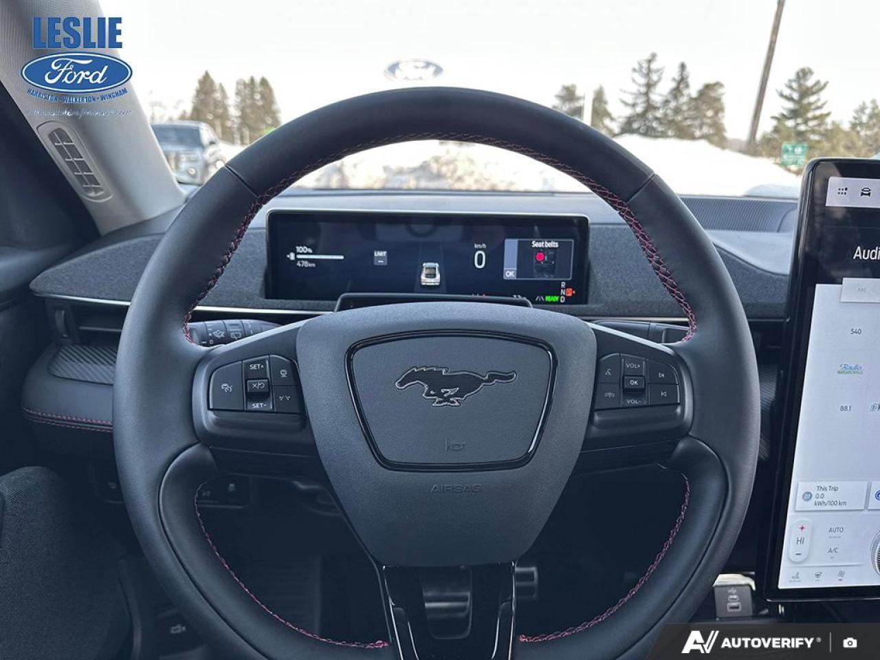 2025 Ford Mustang Mach-E Premium AWD Photo